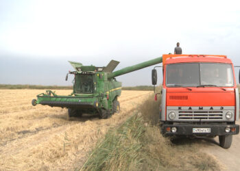 КҮРІШКЕ ОРАҚ ТҮСТІ.