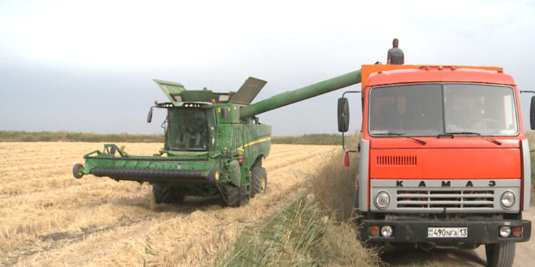 КҮРІШКЕ ОРАҚ ТҮСТІ.