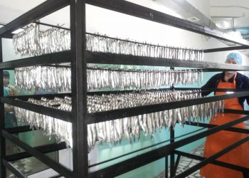 «Даму» қорының қолдауымен балық ыстау цехын іске қосты