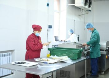 Республикада өндірілетін тауарлы балық көлемінің 70 % Түркістан облысының үлесінде