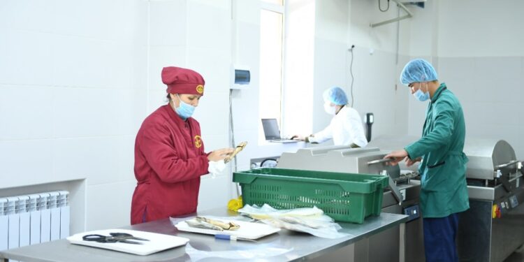 Республикада өндірілетін тауарлы балық көлемінің 70 % Түркістан облысының үлесінде