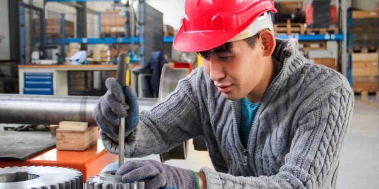 Шымкентте кәсіптік оқыту курстары басталады