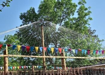 Әлеуметтік бейімдеу орталығында «хайуанаттар бағы» бұрышы ашылды