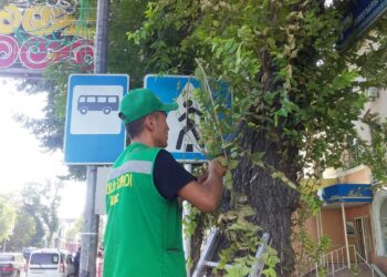 Әл-Фараби ауданында ағаштарды кесу жұмыстары жүргізілуде