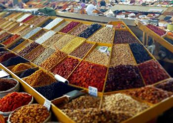 Түркістанның базарларын заман талабына сай жаңғырту мәселесі талқыланды