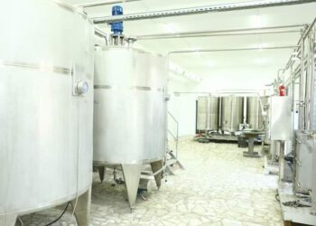 Арыста қымыранды құрғақтай дайындайтын кәсіпорын іске қосылмақ