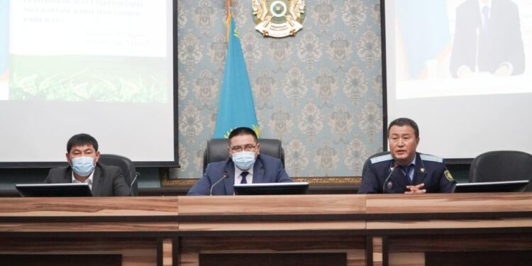 Бәйдібек ауданында жайылым мәселесі ерекше тәсілмен шешіліп жатыр