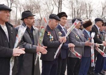 Аудандар мен қалаларда ауған соғысы ардагерлеріне құрмет көрсетілді