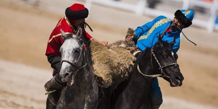 Кентауда жаңа атшабер мен спорт нысандары салынды