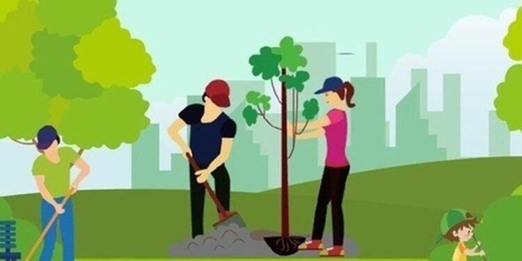 Жалпықалалық сенбілік өтеді