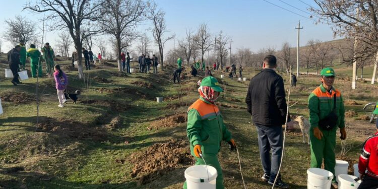 Шымкентте жалпы қалалық сенбілік өтті