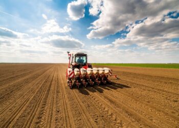 Шымкентте егіс алқабы кеңейді