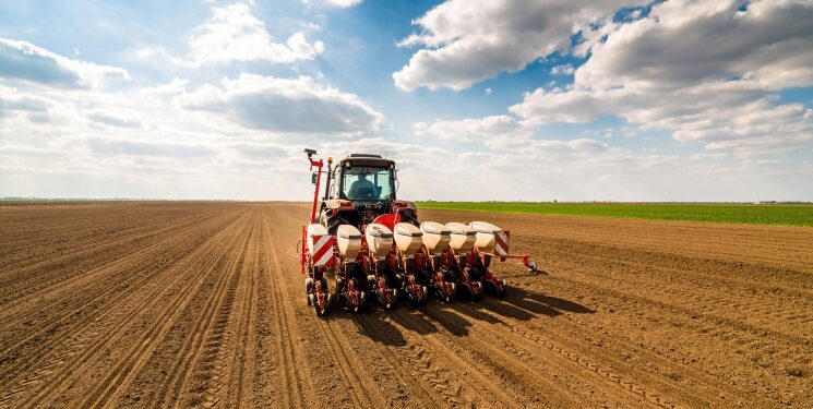 Шымкентте егіс алқабы кеңейді