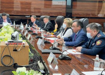 Мүмкіндігі шектеулі жандарды әлеуметтік қорғау маңызды