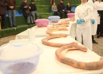 Шымкентте наурыздағы ұлттық тағамдар фестивалінде ұзындығы 30 метрлік қазы дайындалды