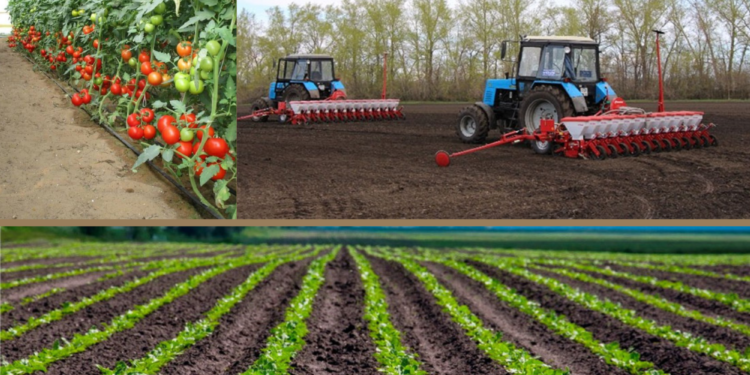 Шымкент көктемгі егін жұмыстарына дайын