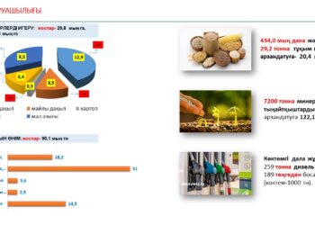Шымкентте биыл 51 мың тонна көкөніс жинау жоспарлануда