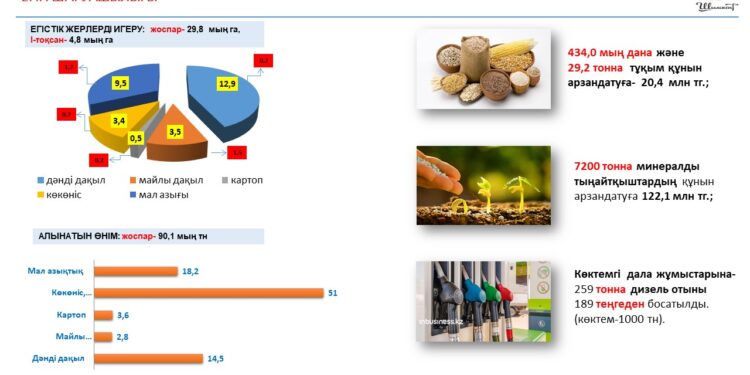 Шымкентте биыл 51 мың тонна көкөніс жинау жоспарлануда