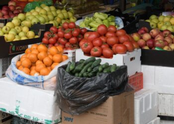 Қала әкімі көтерме базарларды аралады