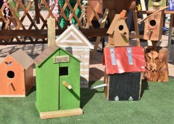 Халықаралық құстар күніне орай балалар сайысы өтті