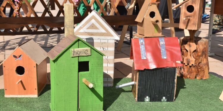 Халықаралық құстар күніне орай балалар сайысы өтті