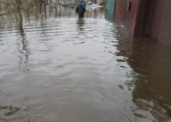 Қазығұртта ауылдарды су басып, мал қырылды