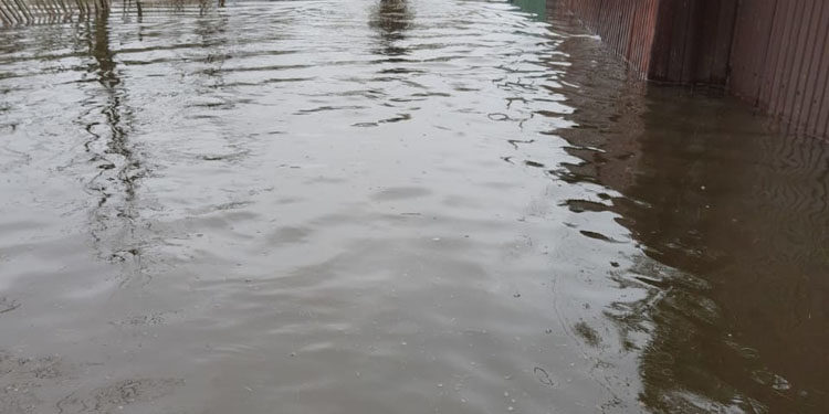 Қазығұртта ауылдарды су басып, мал қырылды