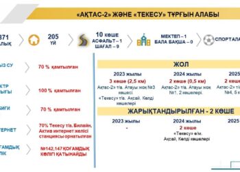 Текесу тұрғын алабы жыл соңына дейін табиғи газбен қамтылады