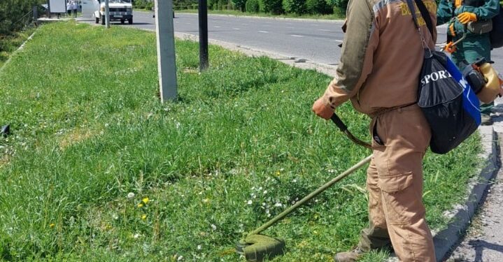 Жасыл желектерді күтіп — ұстау жұмысы қарқын алды