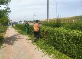 Тазалық жұмыстары қатаң бақылауға алынды