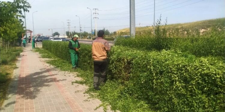 Тазалық жұмыстары қатаң бақылауға алынды