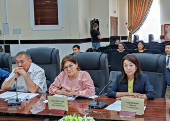 Мүмкіндігі шектеулі азаматтар әлеуметтік қызметтерге портал арқылы тапсырыс бере алады