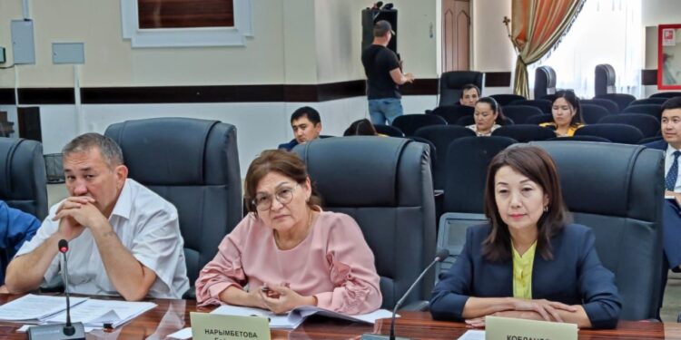 Мүмкіндігі шектеулі азаматтар әлеуметтік қызметтерге портал арқылы тапсырыс бере алады