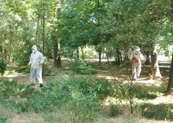 Шымкентте залалсыздандыру жұмыстары жүргізілді