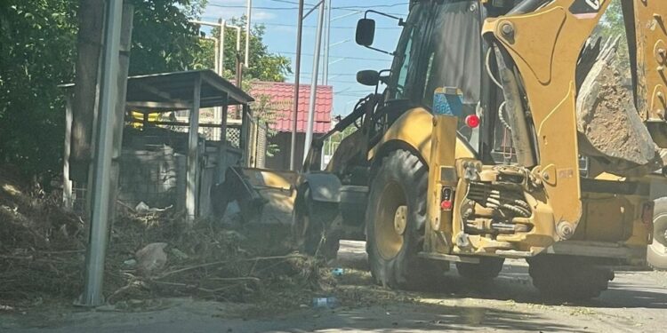 Тазалық жұмыстары Абай ауданында жалғасты