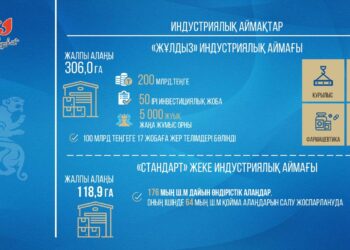 Шымкентте өңдеу өнеркәсібінде 50 кәсіпорын ашылады