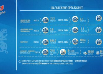 Мемлекеттік бағдарлама аясында шымкентте 2 мыңнан астам жобаға қолдау көрсетілді