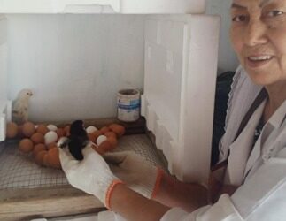 Қайтарымсыз грант алып, кәсібін дөңгелеткен