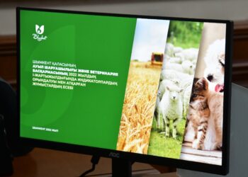 Ет өнімдерін арттыру маңызды іс