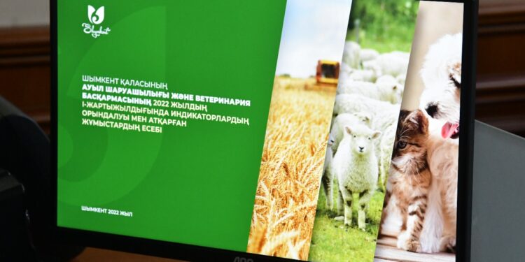 Ет өнімдерін арттыру маңызды іс