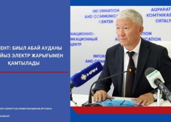 Шымкент: Биыл Абай ауданы 100 пайыз электр жарығымен қамтылады