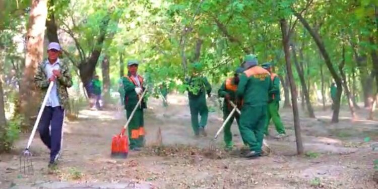 Саябаққа сән кірді