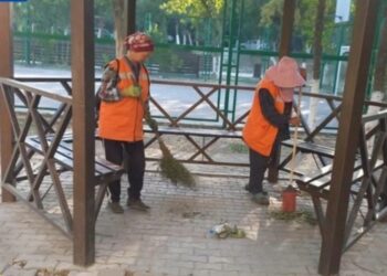 Тазалық әр ауладан басталады