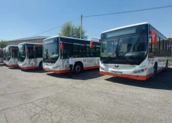 Шымкентте 2 бағдарға жаңа автобус қосылды