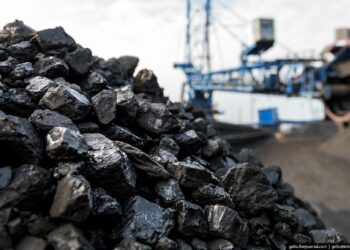 Шымкентте 7 орында көмір сатылуда