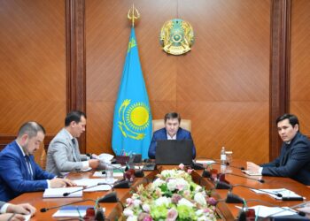 Экономиканың қуатын арттыратын  әрі  импортқа тәуелділікті азайтатын жаңа жобалар ұсынылды