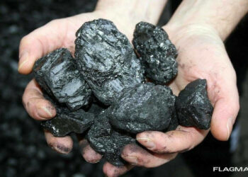 Шымкентте көмірдің бағасы 15100 бен 15300 теңге аралығында