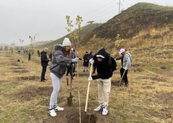 Ассамблея жастары 160 мың түп ағаш егу акциясын бастады