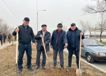 Шымкент қаласы — «Жасыл қала» атауына лайықты