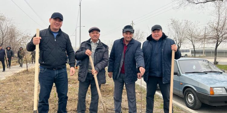 Шымкент қаласы — «Жасыл қала» атауына лайықты